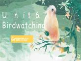 牛津譯林版八上Unit6 Grammar課件PPT