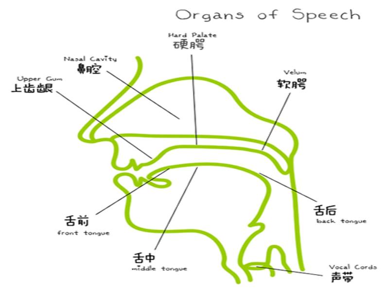 人教版初一英语音标学习3. 48个国际音标详细教程课件第4页