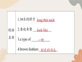 牛津译林版八年级英语上册 Unit6 Birdwatching Period 1 Comic strip & Welcome to the unit 课件