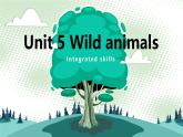 牛津译林版八上Unit5 Integrated skills&study skills课件PPT
