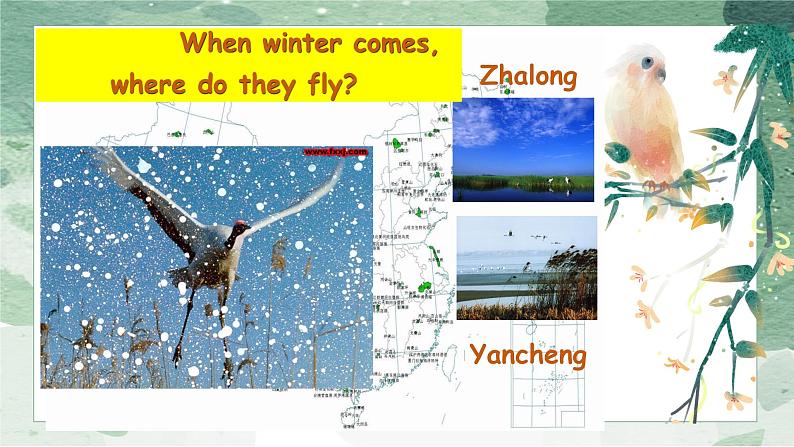 牛津译林版八上Unit6 Integrated skills课件PPT第4页