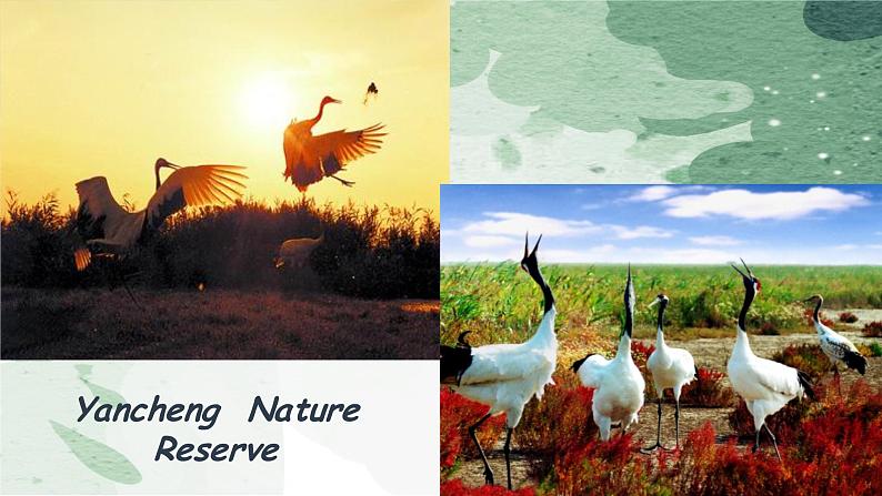 牛津译林版八上Unit6 Integrated skills课件PPT第5页