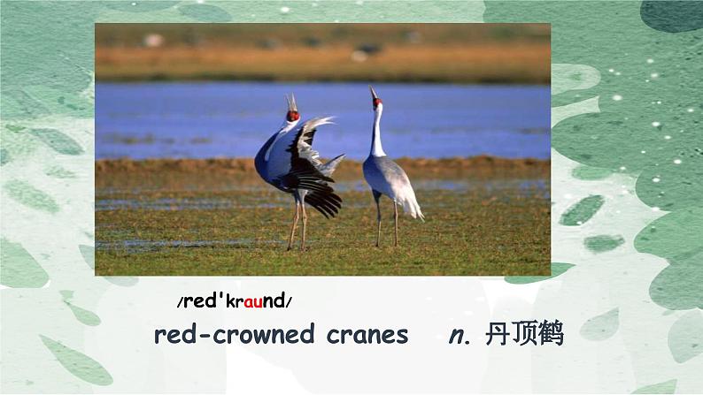 牛津译林版八上Unit6 Integrated skills课件PPT第6页