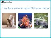 Unit 5 Animal friends Lesson 2 The rhino and the egret 课件 2024-2025学年英语冀教版（2024版）七年级上册
