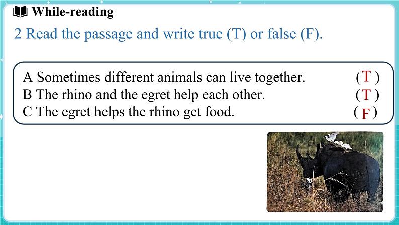 Unit 5 Animal friends Lesson 2 The rhino and the egret 课件 2024-2025学年英语冀教版（2024版）七年级上册06