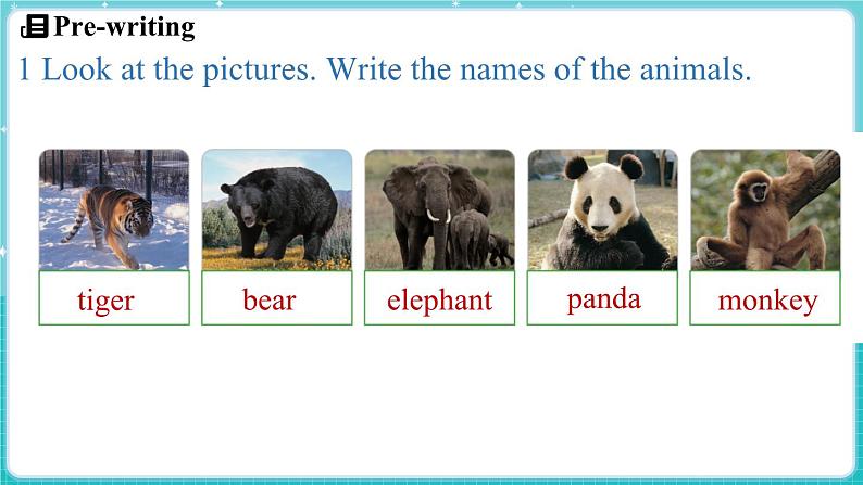 Unit 5 Animal friends Lesson 4 My favourite animal 课件 2024-2025学年英语冀教版（2024版）七年级上册04