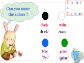 Starter Module3 Unit3 What colour is it? 课件 PPT