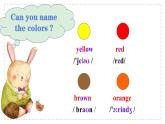 Starter Module3 Unit3 What colour is it? 课件 PPT