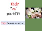 Module2 Unit2 These are my parents. 课件 PPT