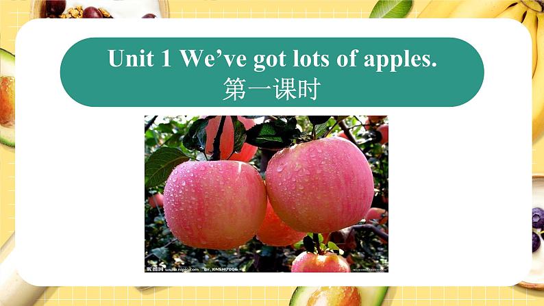 Module4 Unit1 We’ve got lots of apples. 课件 PPT第4页