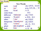 Module 6 Unit1 Does it eat meat? 課件 PPT