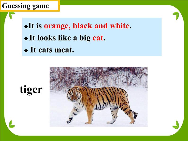 Module 6 Unit1 Does it eat meat? 课件 PPT07