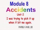 外研版初中英语八上Module8 U2课件+练习题+教案