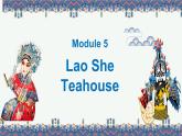 外研版初中英语八上Module5 U1课件+练习题+教案