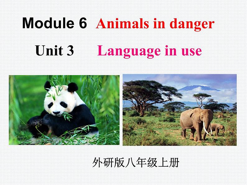 外研版初中英语八上Module6 U3课件+练习题+教案01