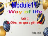 外研版初中英語八上Module11 U1課件+練習題+教案