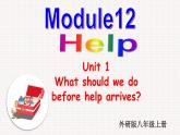 外研版初中英語八上Module12 U1課件+練習題+教案