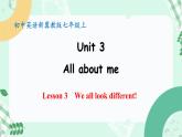 【核心素养】冀教版（2024）英语七年级上册 Unit 3 All about me  Lesson 3 We all look different! 同步课件