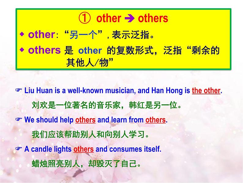 中考英语一轮复习资料 other, the other, others, the others, another 辨析（PPT课件）（全国通用）第4页