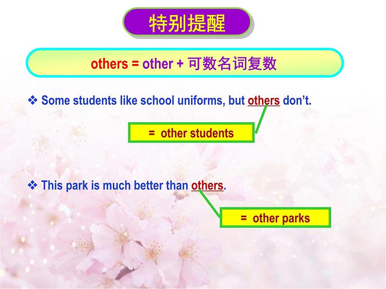 中考英语一轮复习资料 other, the other, others, the others, another 辨析（PPT课件）（全国通用）第5页