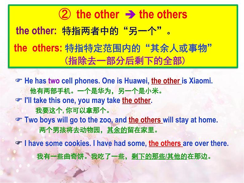 中考英语一轮复习资料 other, the other, others, the others, another 辨析（PPT课件）（全国通用）第6页