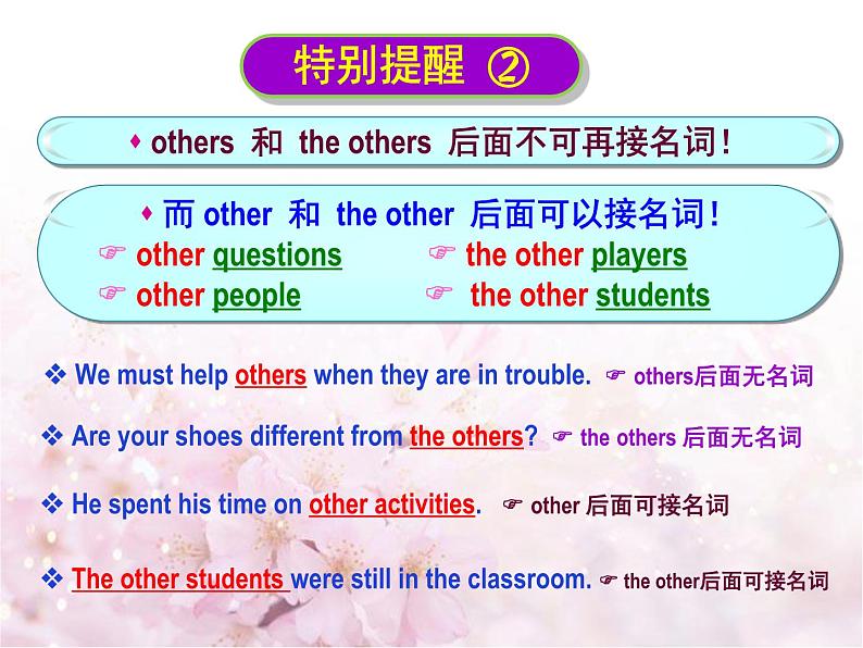 中考英语一轮复习资料 other, the other, others, the others, another 辨析（PPT课件）（全国通用）第8页