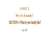 Unit 2 We’re Family! 课时1 Section A (1a–1d) 课件- 2024-2025学年人教版（2024）七年级英语上册