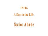Unit 6 A Day in the Life 课时1 Section A(1a-1e)课件- 2024-2025学年人教版（2024）七年级英语上册