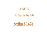 Unit 6 A Day in the Life 课时4 Section B(1a-2b)课件- 2024-2025学年人教版（2024）七年级英语上册