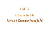 Unit 6 A Day in the Life 课时3 Section A Grammar Focus(3a-3d)课件- 2024-2025学年人教版（2024）七年级英语上册