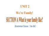 Unit 2 We’re Family! 课时3 Grammar Focus (3a–3d) 课件- 2024-2025学年人教版（2024）七年级英语上册
