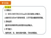 Unit 5 Fun Clubs 课时2 Prounciation 1-2e课件- 2024-2025学年人教版（2024）七年级英语上册