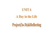 Unit 6 A Day in the Life 课时5 Project(3a-3b)&Reflecting课件- 2024-2025学年人教版（2024）七年级英语上册