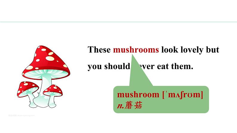 Unit 2 Learning English is fun! Lesson 3（课件）2024-2025学年冀教版七年级英语上册07