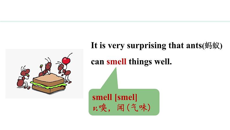 Unit 3 All about me  Lesson 1（课件）2024-2025学年冀教版七年级英语上册第5页