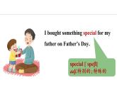 Unit 4 My family Lesson 3（课件）2024-2025学年冀教版七年级英语上册