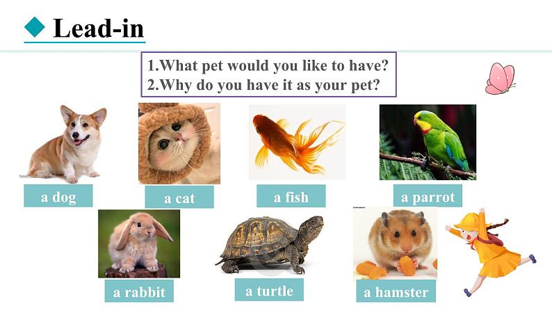 Unit 5 Animal friends Lesson 1（课件）2024-2025学年冀教版七年级英语上册03