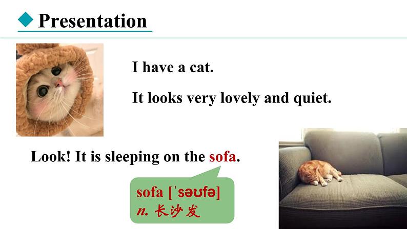 Unit 5 Animal friends Lesson 1（课件）2024-2025学年冀教版七年级英语上册04