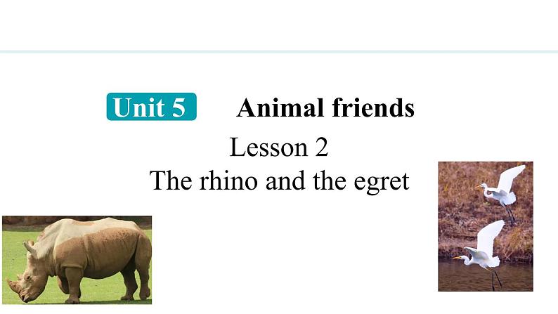 Unit 5 Animal friends Lesson 2（课件）2024-2025学年冀教版七年级英语上册01