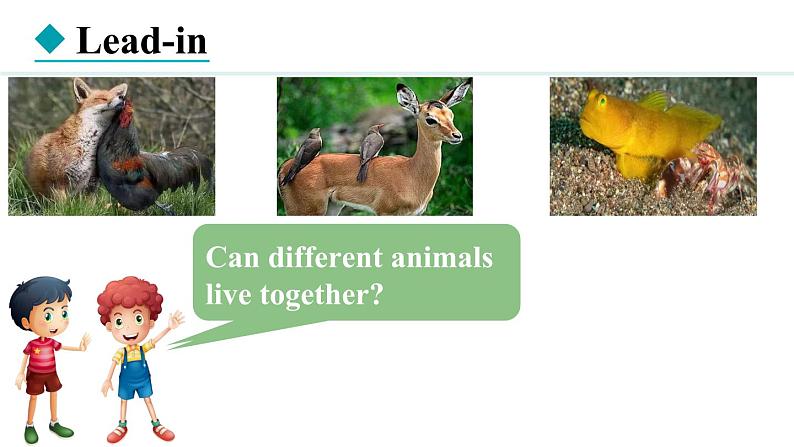 Unit 5 Animal friends Lesson 2（课件）2024-2025学年冀教版七年级英语上册03