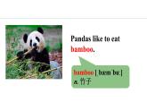 Unit 5 Animal friends Lesson 3（课件）2024-2025学年冀教版七年级英语上册