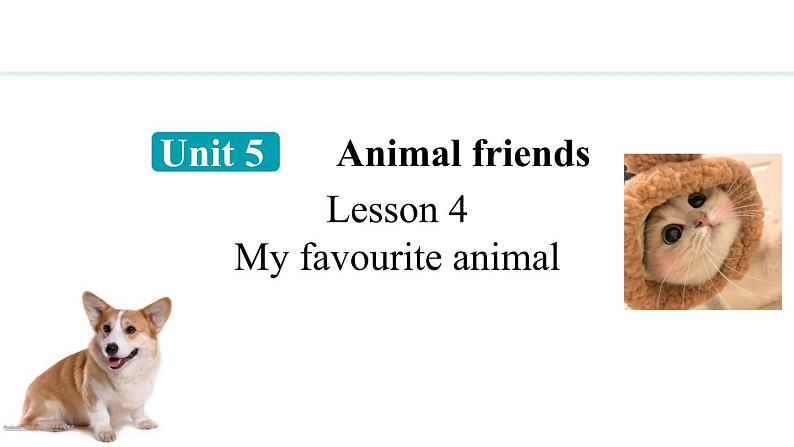 Unit 5 Animal friends Lesson 4（课件）2024-2025学年冀教版七年级英语上册01