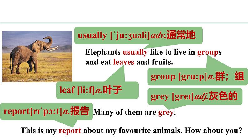 Unit 5 Animal friends Lesson 4（课件）2024-2025学年冀教版七年级英语上册05