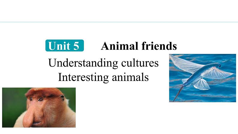 Unit 5 Animal friends Lesson 6（课件）2024-2025学年冀教版七年级英语上册01