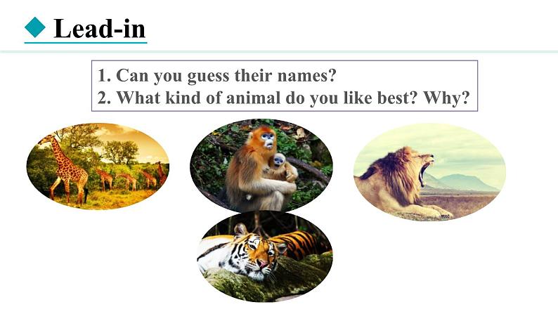 Unit 5 Animal friends Lesson 6（课件）2024-2025学年冀教版七年级英语上册03