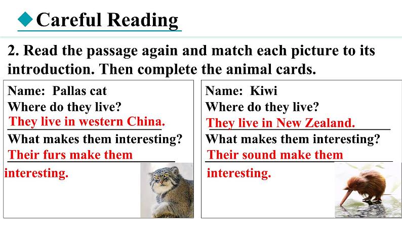 Unit 5 Animal friends Lesson 6（课件）2024-2025学年冀教版七年级英语上册05