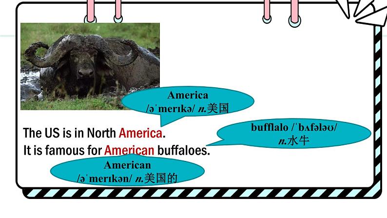 Unit 8 Knowing the world Lesson 2（课件）2024-2025学年冀教版七年级英语上册第7页