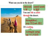 Unit 8 Knowing the world Lesson 3（课件）2024-2025学年冀教版七年级英语上册