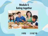 外研版初中英语九下M6U2课件+教案+练习