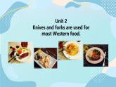外研版初中英语九下M6U2课件+教案+练习